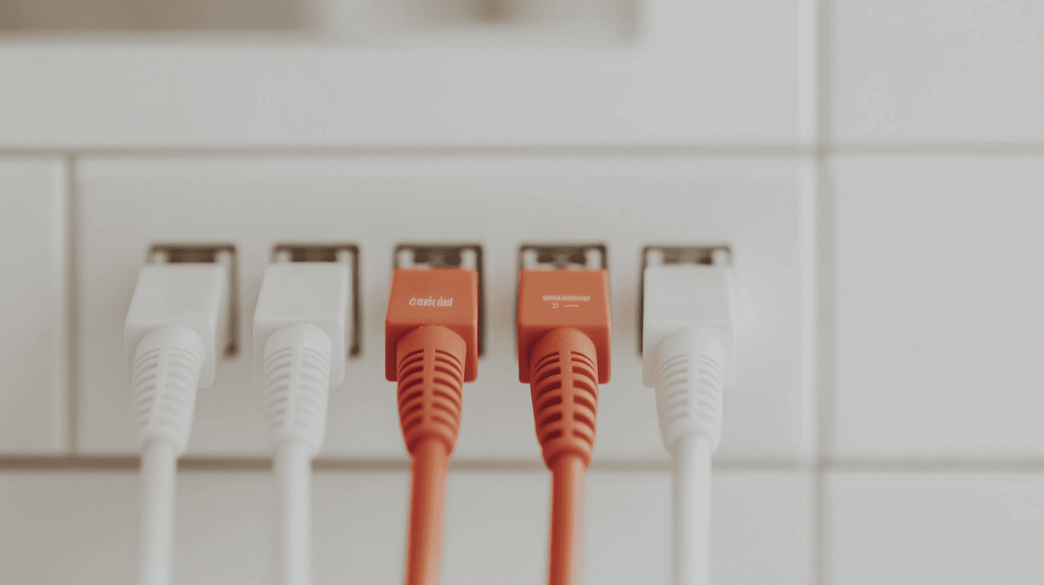 Orange and white ethernet cables patched into a network panel